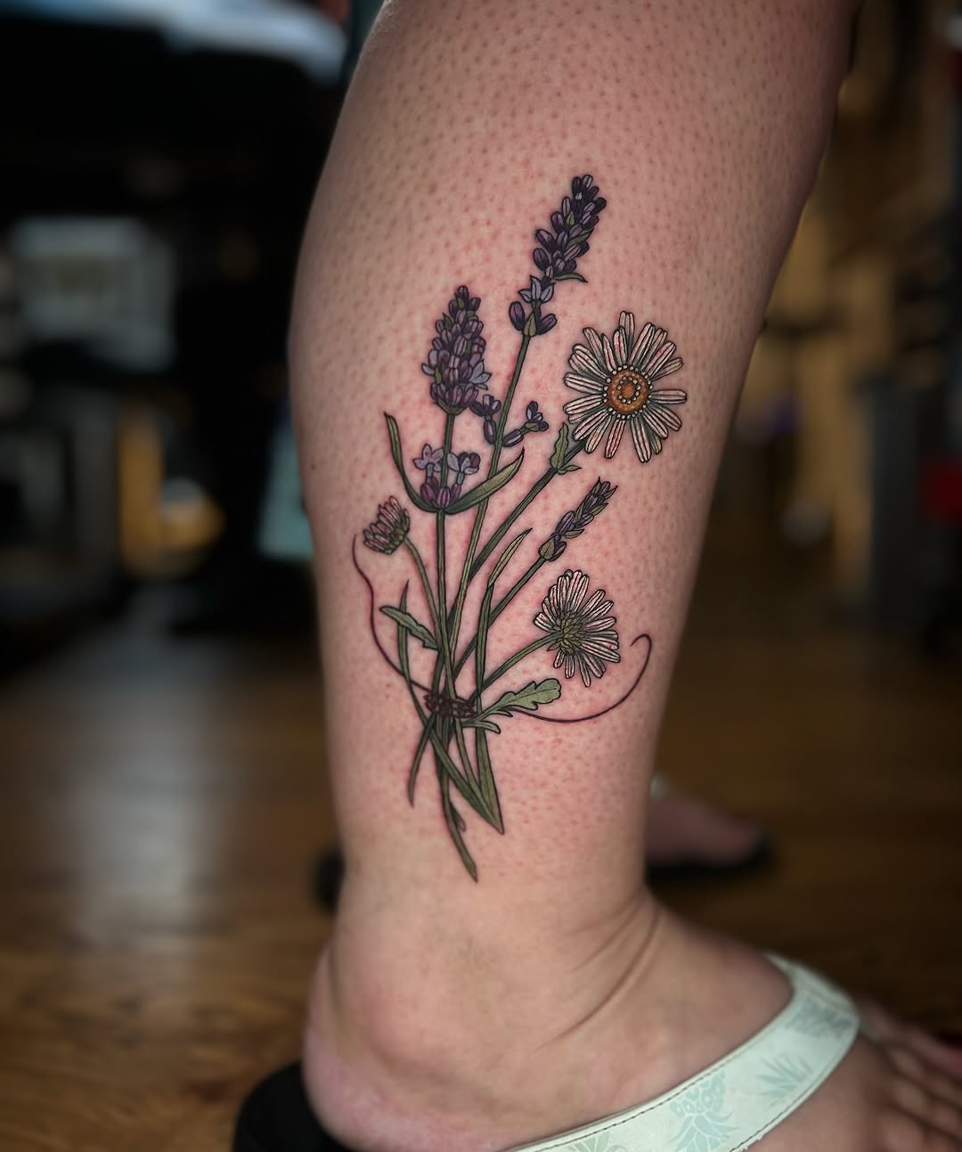 Flower, 라벤더, 허브