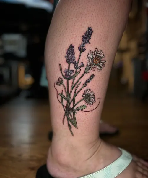 Flower, 라벤더, 허브