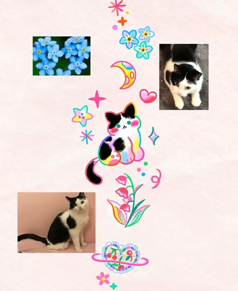 Animal