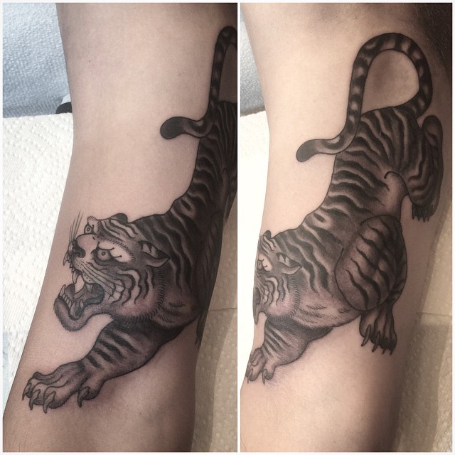 Tiger, 중국 호랑이, 일본 호랑이