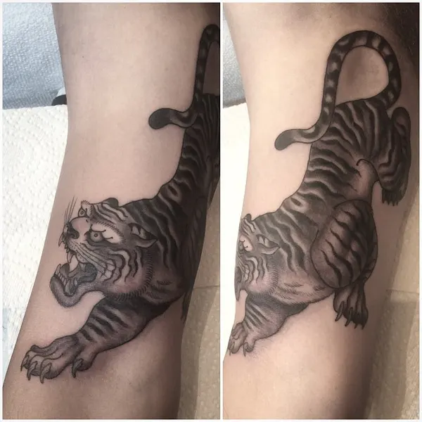 Tiger, 중국 호랑이, 일본 호랑이