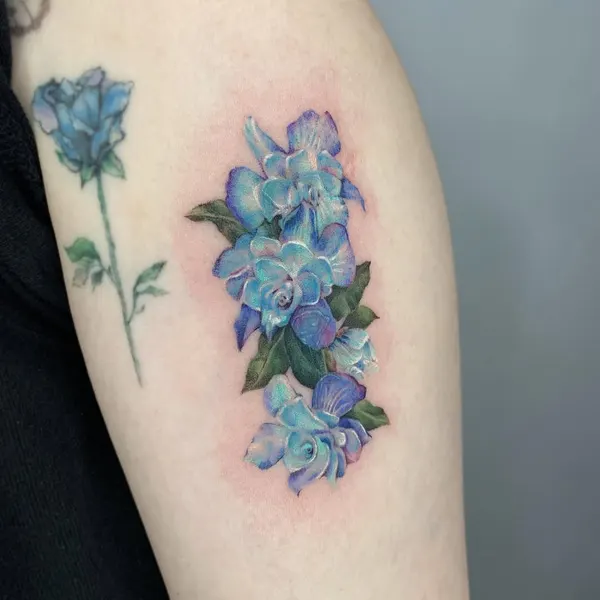 Flower, Rose