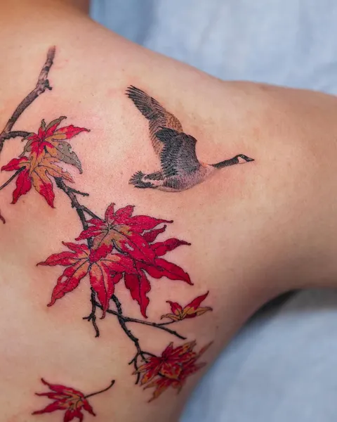 Flower, 일본 단풍, Nature
