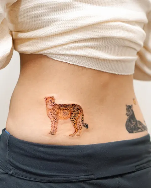 Tiger, Animal