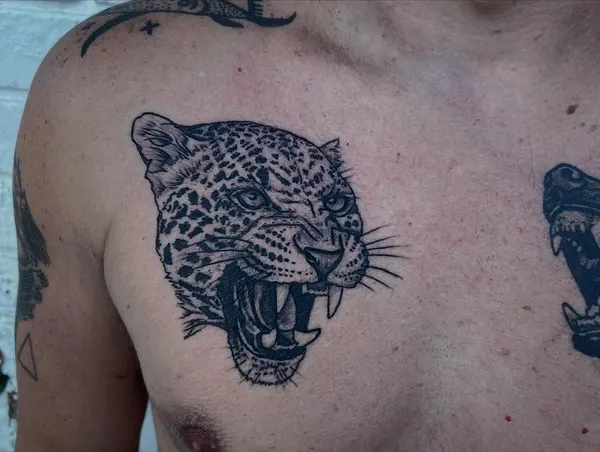 Animal, 표범, 재규어, 치타