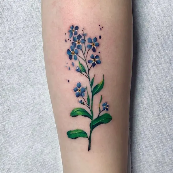 Flower, 수국, 허브