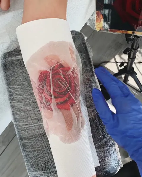 Flower, Rose