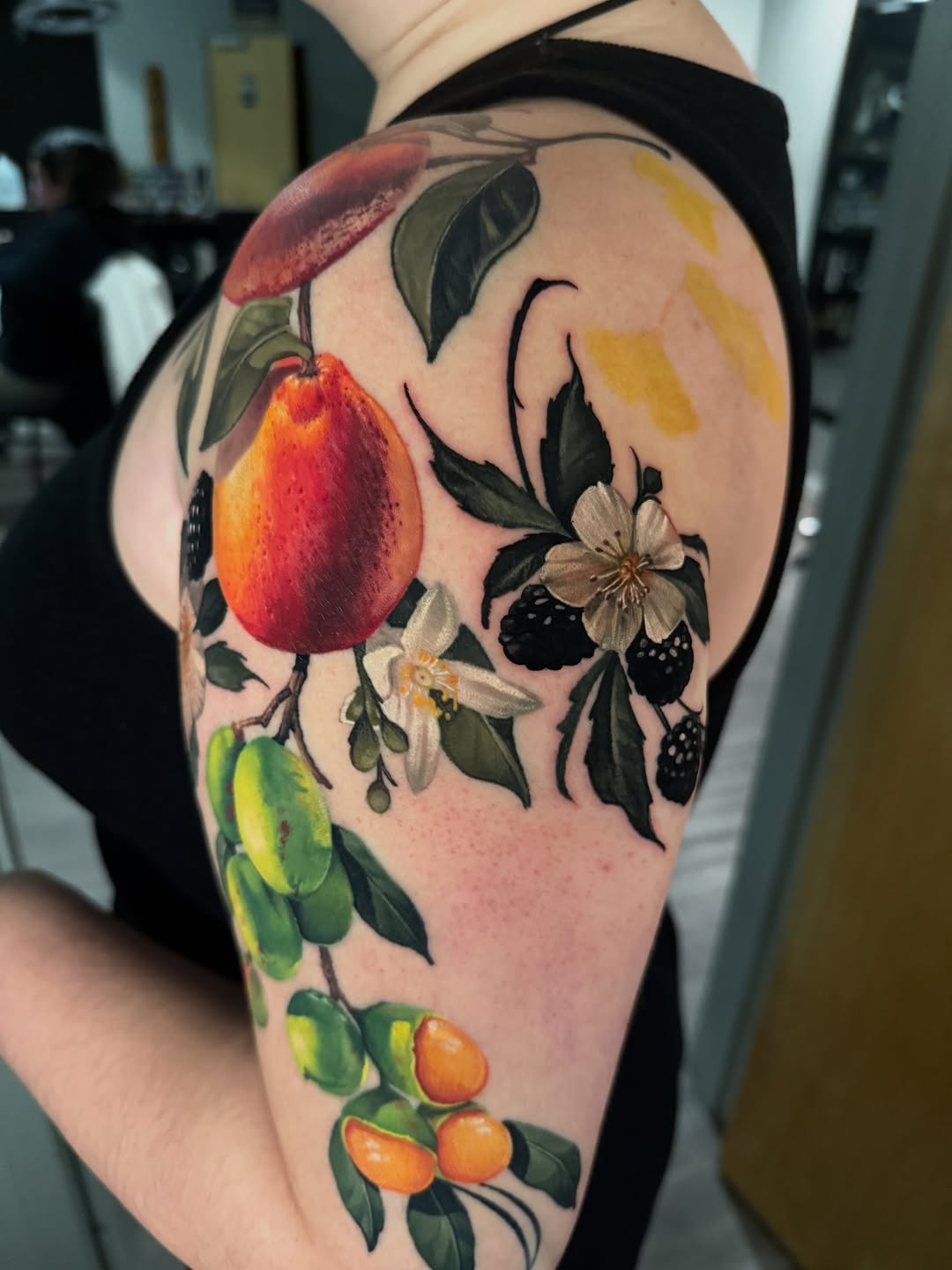 Flower, Rose, Nature