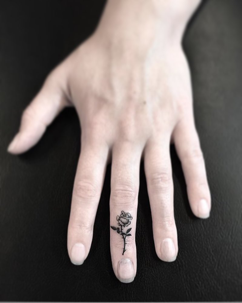 Flower, Rose