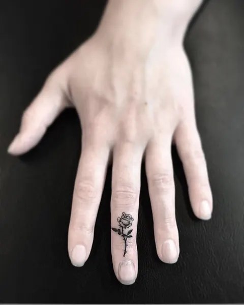 Flower, Rose