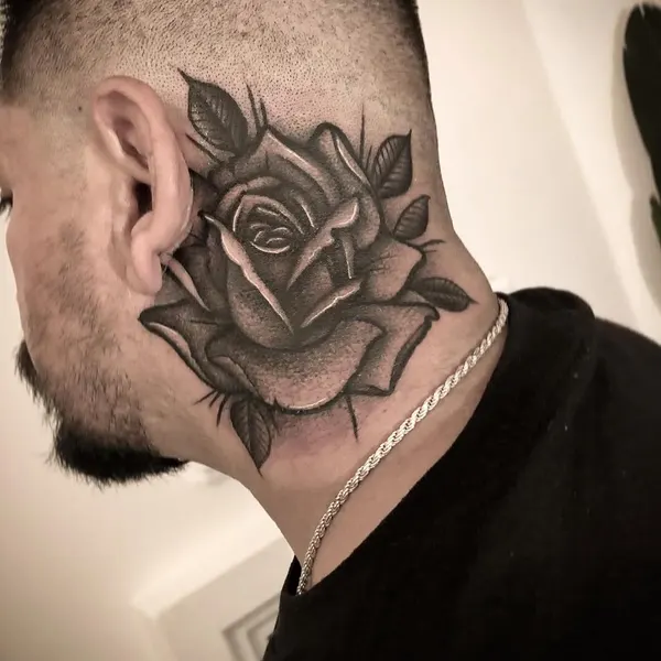 Flower, Rose, Nature