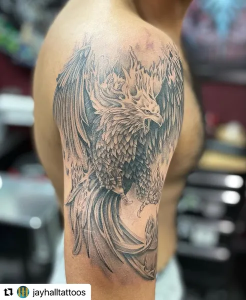 Dragon, 불사조
