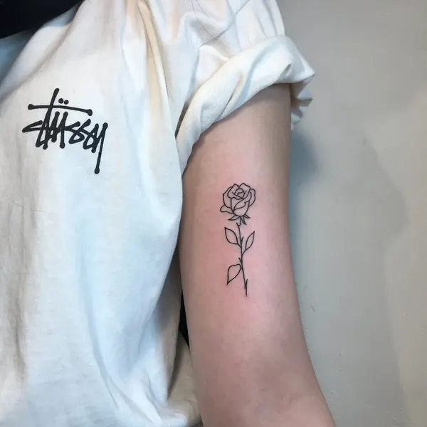 Flower, Rose