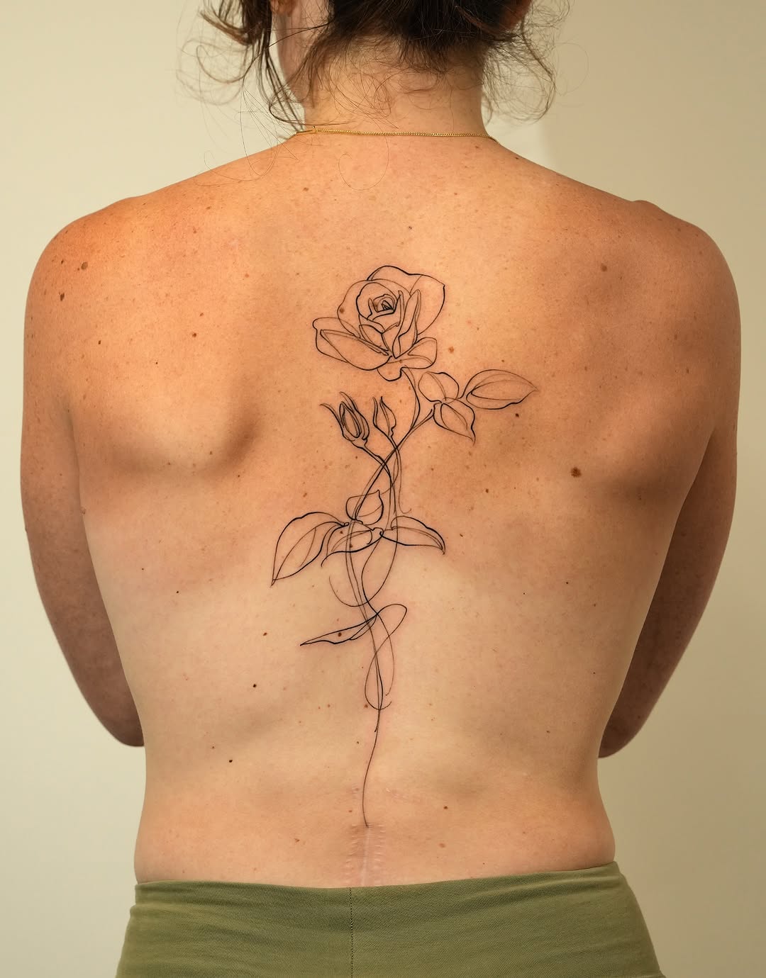 Flower, Nature, Rose