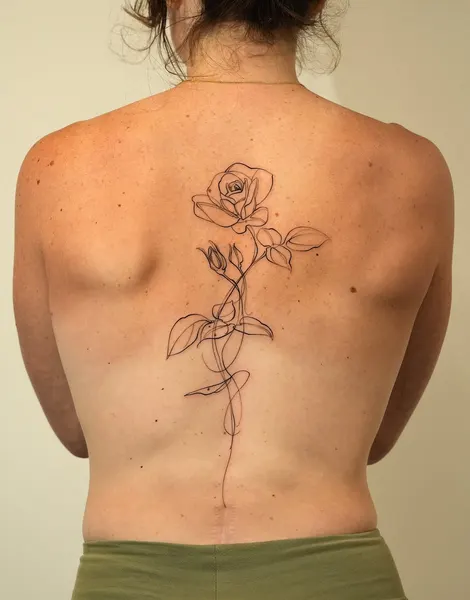 Flower, Nature, Rose