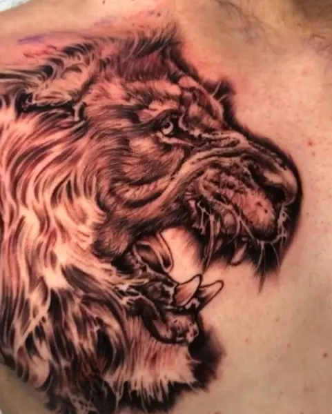 Tiger, 사자
