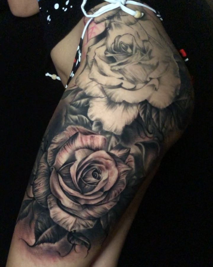 Flower, Rose