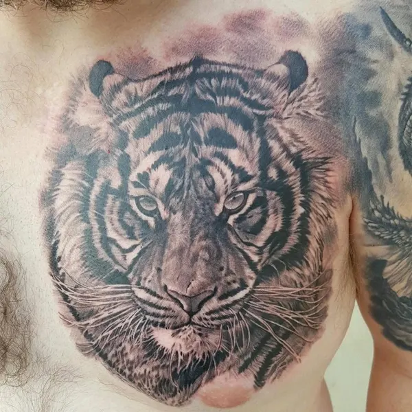 Tiger, 한국 호랑이