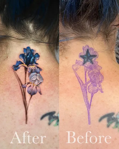 Flower, 변화, 난초, 라벤더, 탄생화, 아이리스