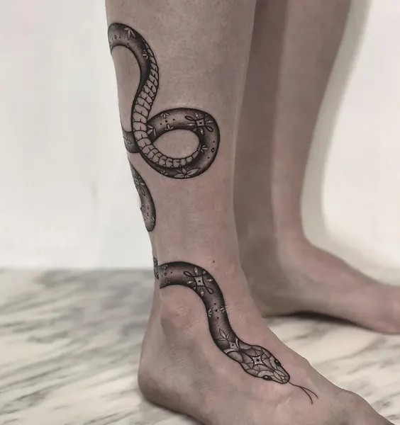 Dragon, 나선, Snake