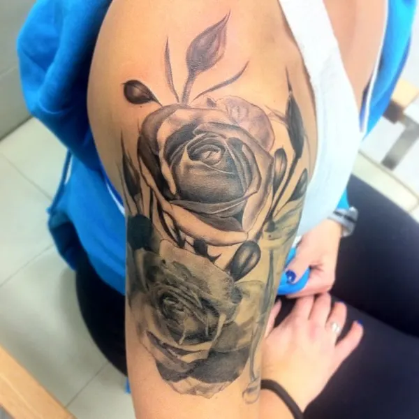 Flower, Rose, Nature