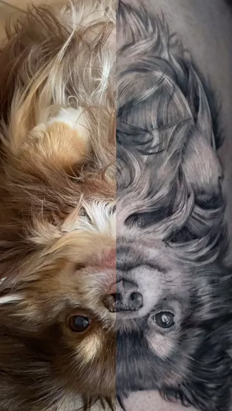 daniluztattoo