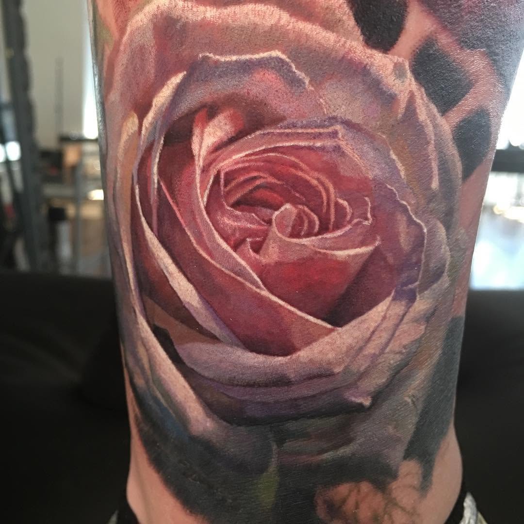 Flower, Rose