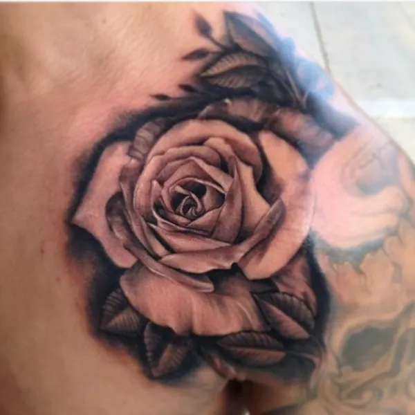 Flower, Rose