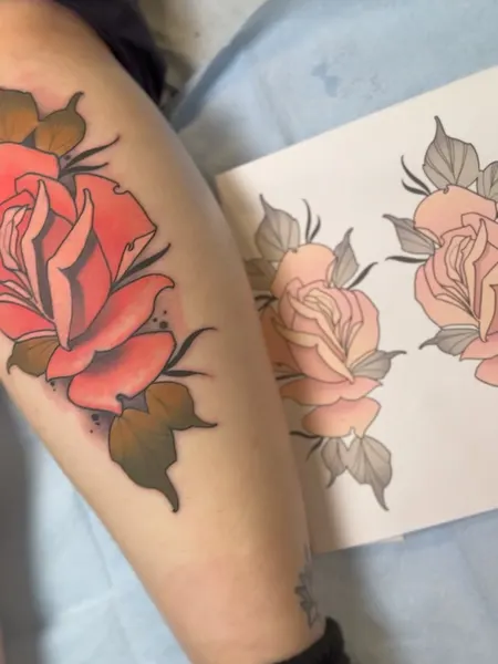 Flower, Rose