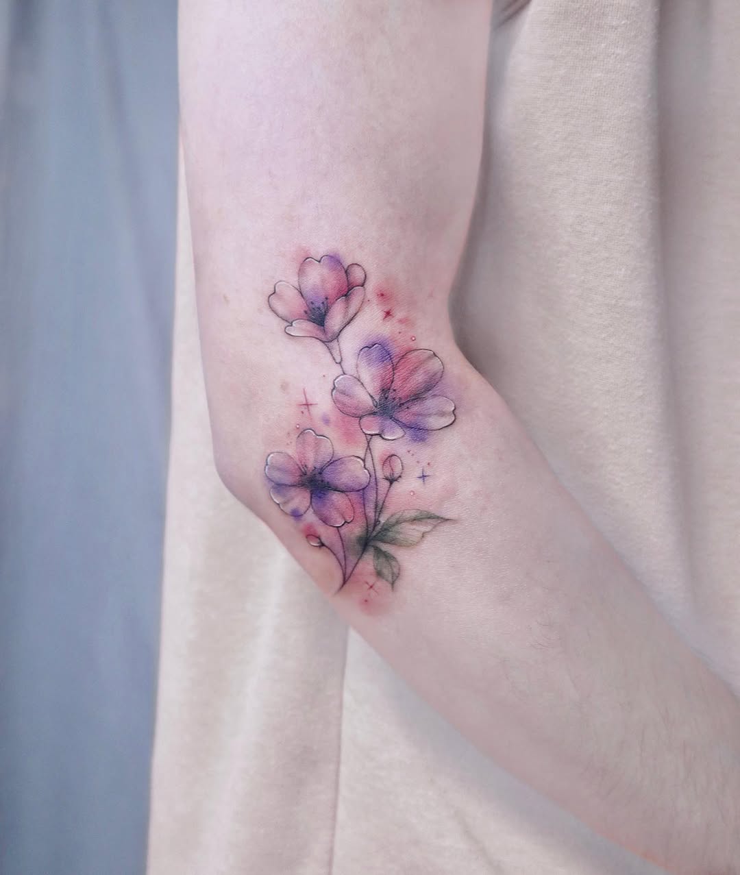 매화, Flower, Rose, 모란, 벚꽃, 사쿠라, 꽃 배경, 체리