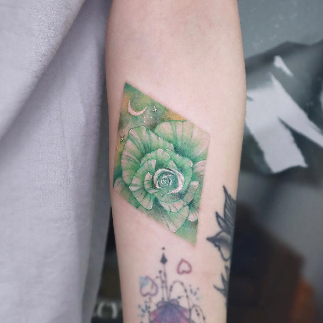 Flower, Rose