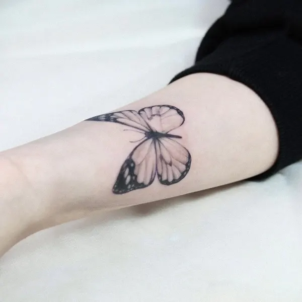 Nature, Animal, 백합, 아이리스, 동백꽃, 플라밍고