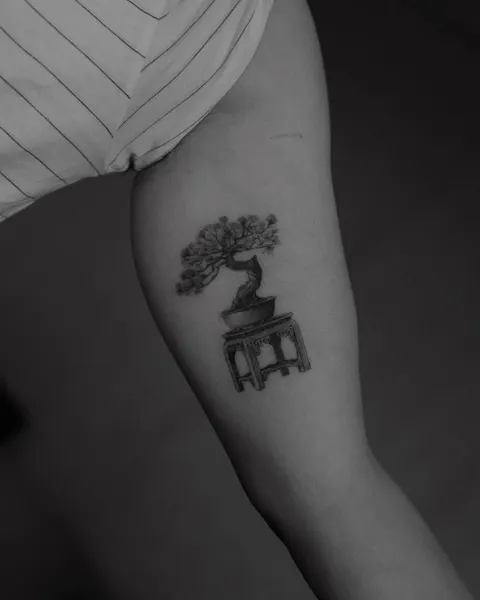 Nature, 피아노