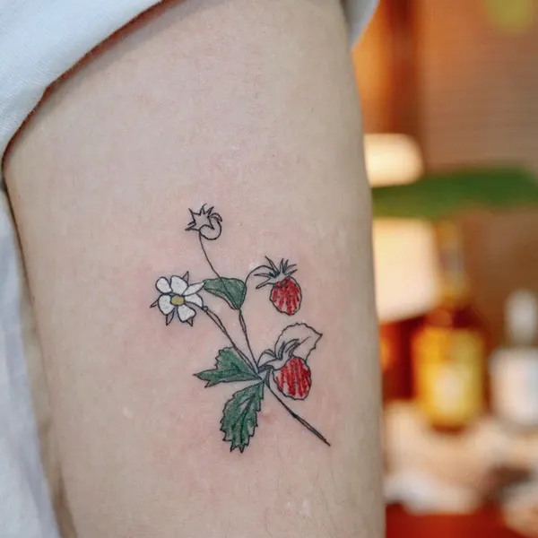 Flower, Rose