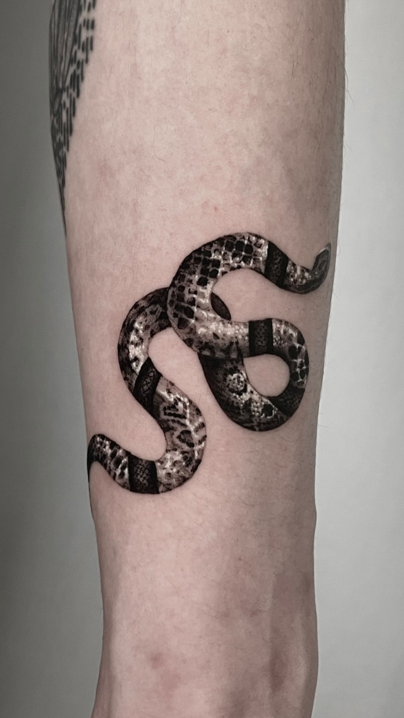 지네, 치타, Snake, 전갈