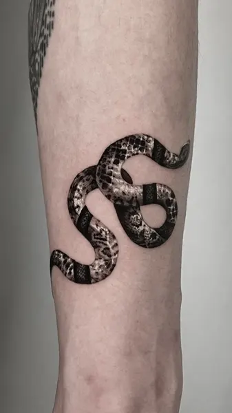 지네, 치타, Snake, 전갈