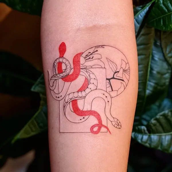 Dragon, 띠, 양자리
