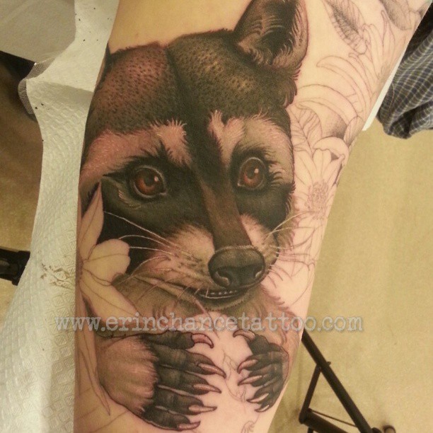 Animal, 너구리
