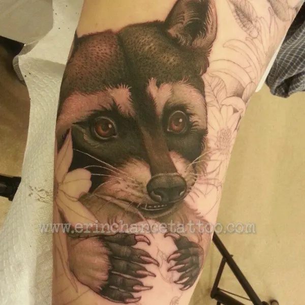 Animal, 너구리