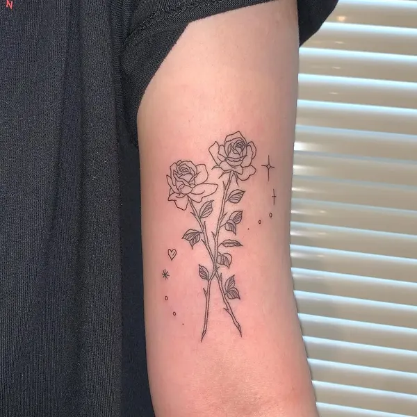 Flower, Rose, Nature