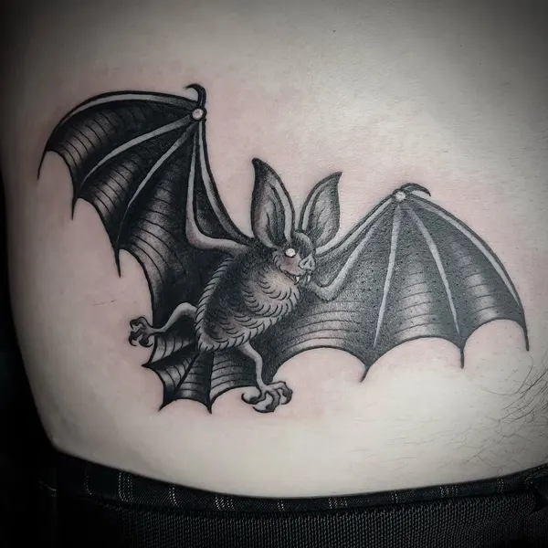 Dragon, 박쥐