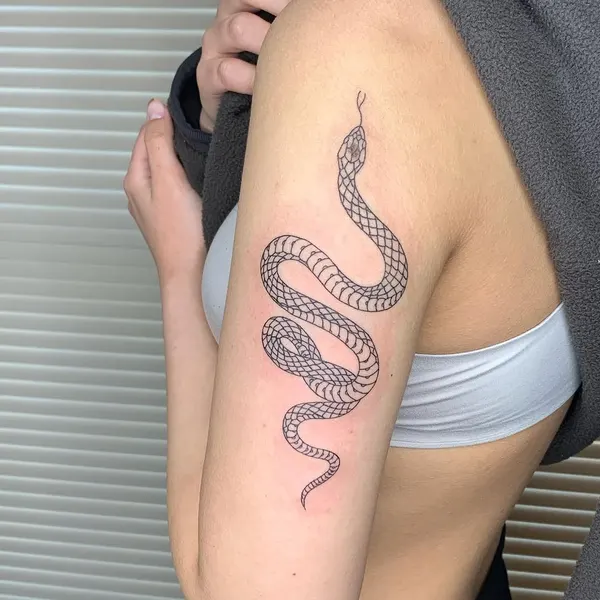 Dragon, 체인, Snake