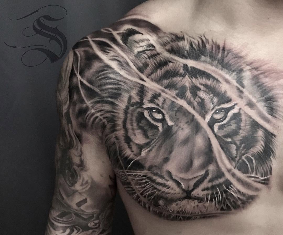 Tiger, 한국 호랑이, 중국 호랑이