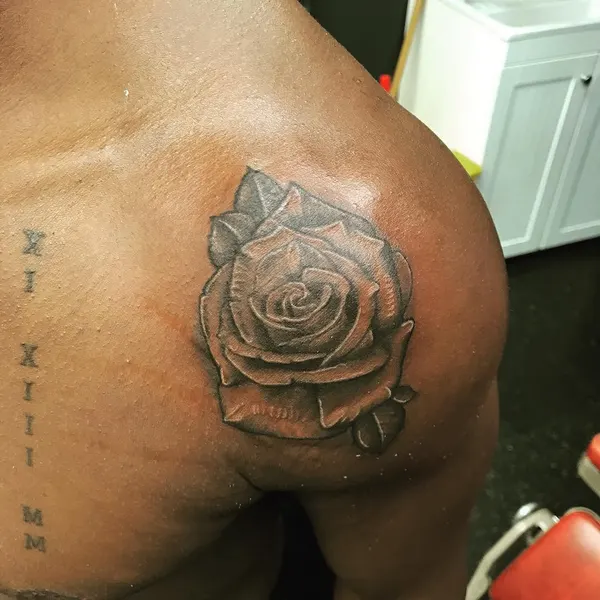 Flower, Rose