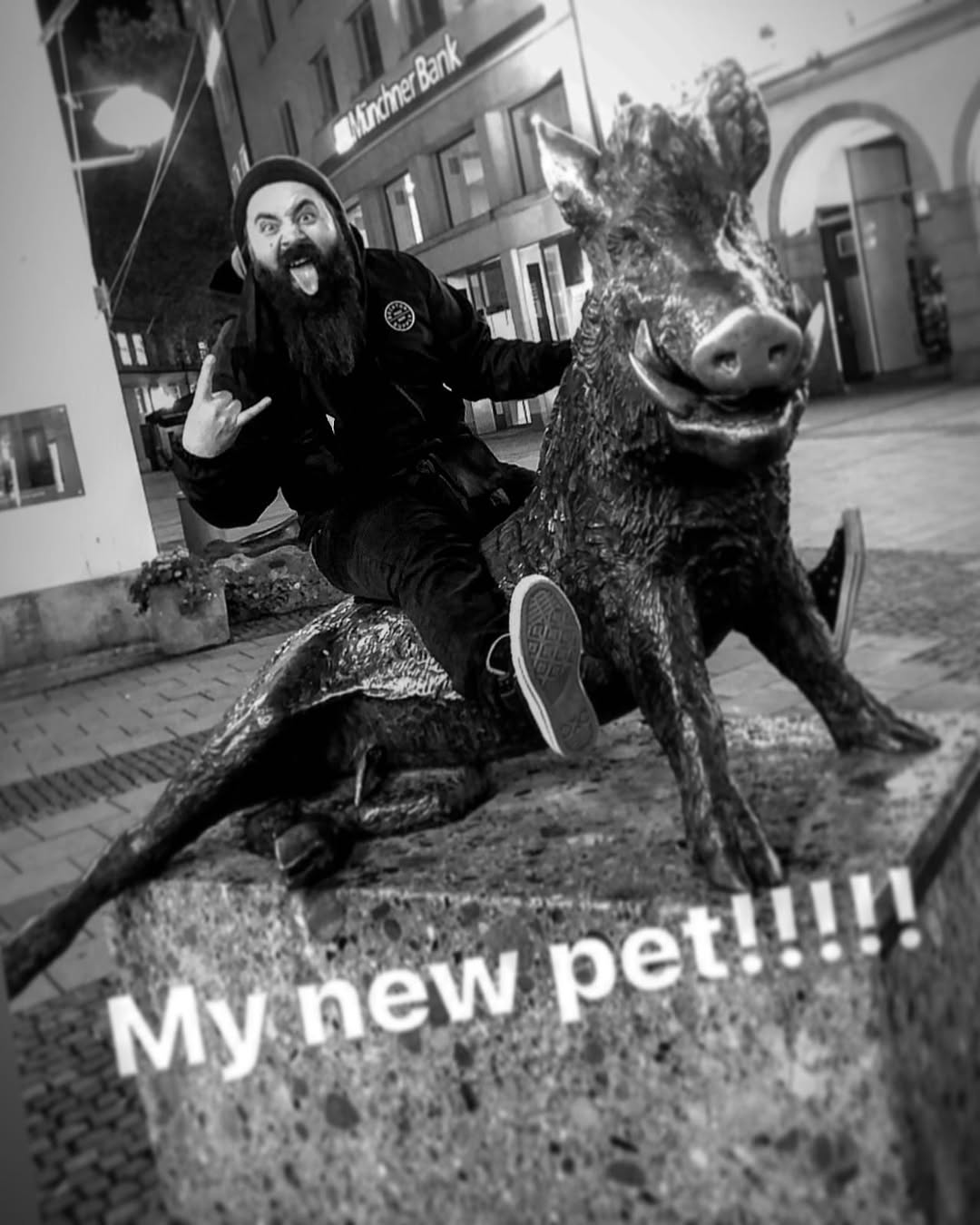Animal
