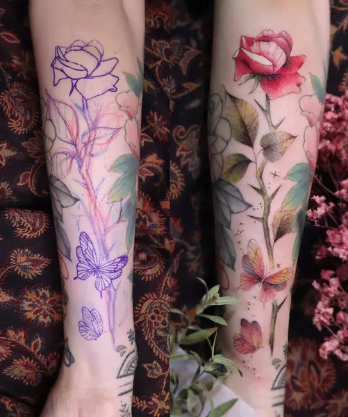 Flower, Rose