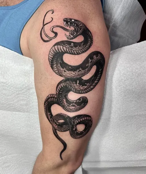 Dragon, Snake