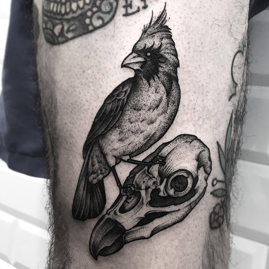 Flower, Animal, Nature