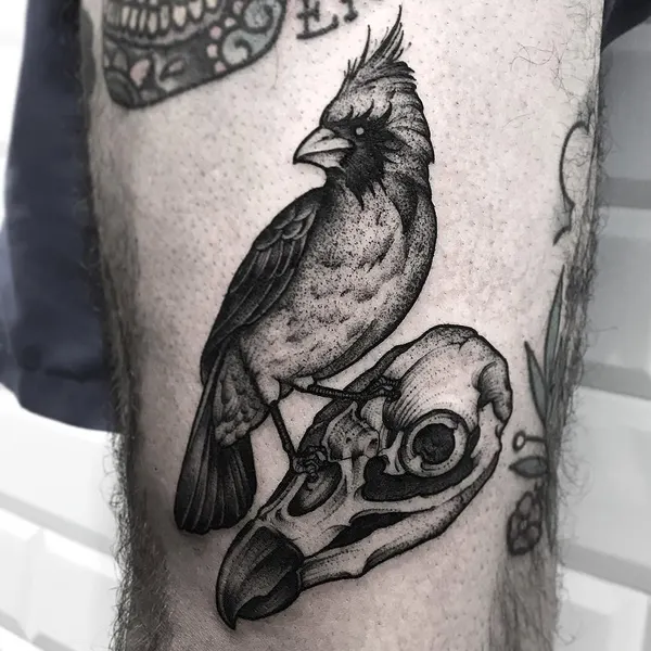 Flower, Animal, Nature