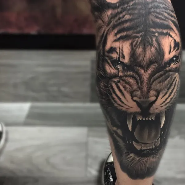 Tiger